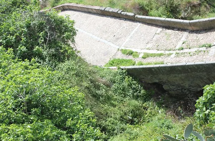 Sumaiya El Palacio Coria